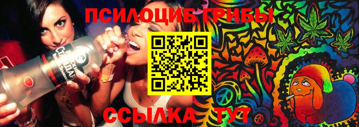 Псилоцибиновые грибы прущие грибы Губкин